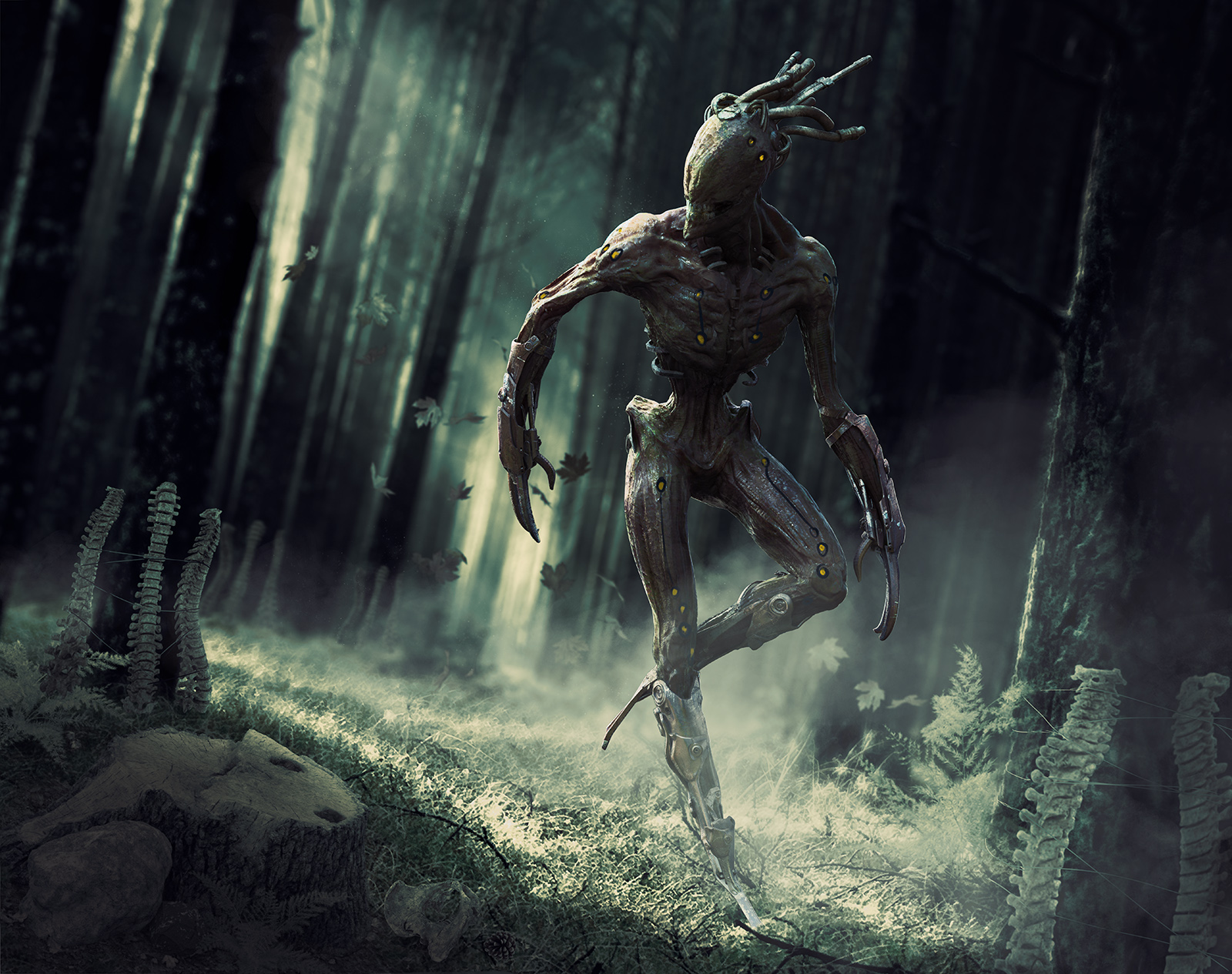 menk-landscape-comp1-2-small