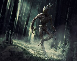 menk-landscape-comp1-2-small